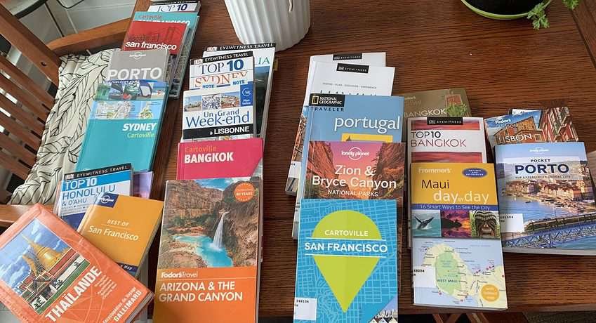 Travel Books as Guides