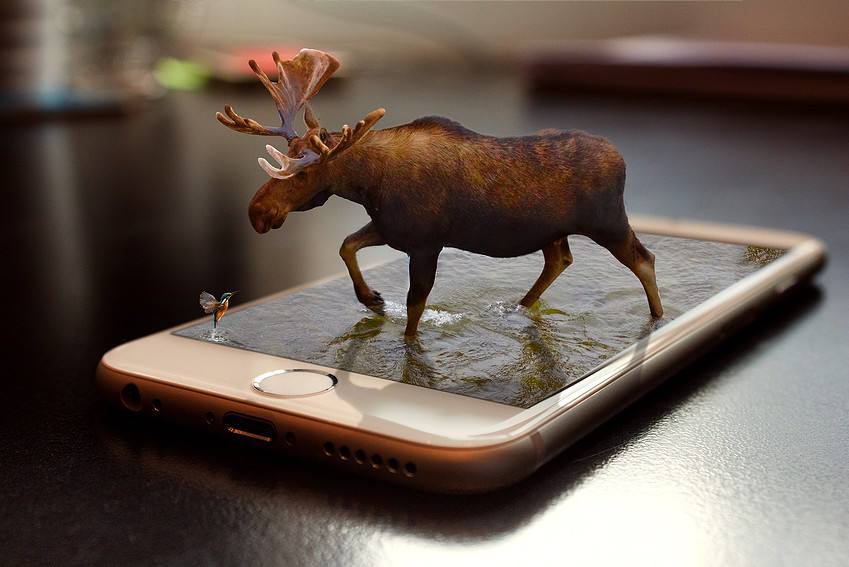 smartphone moose
