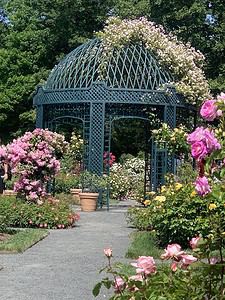 New York Botanical Garden2