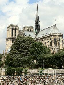 Notre-Dame Exhibition 